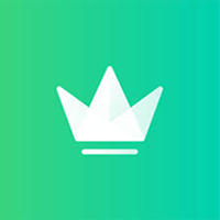 Travelking PL logo