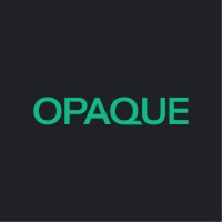 Opaque BR logo