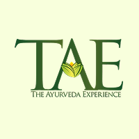 The Ayurveda Experience logo