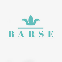Barse Jewelry logo