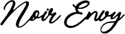 Noir Envy Boutique logo