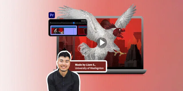 Adobe offer