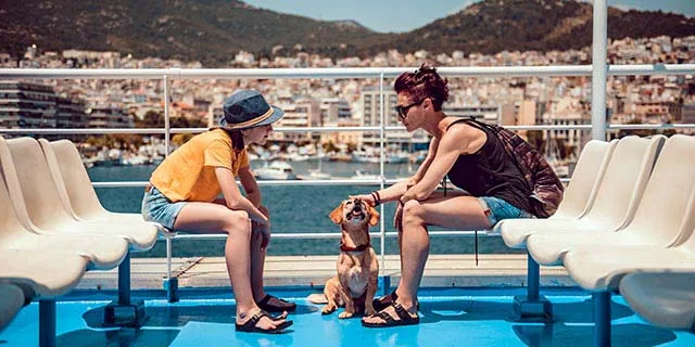 Direct Ferries: 5% Student Discount