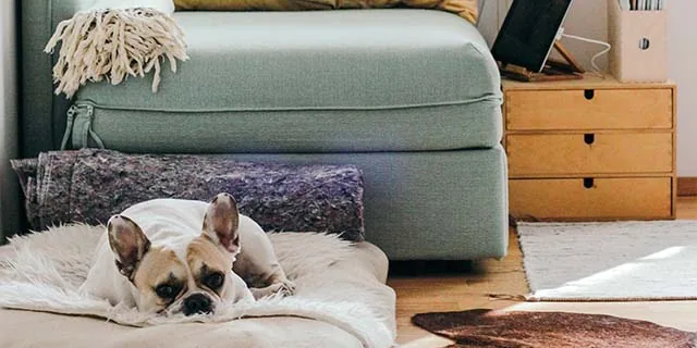 Casper: 35% Off Bundles
