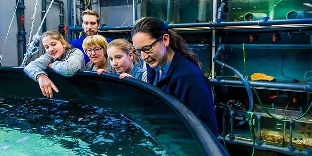 SEA LIFE Kansas City: Student Tickets from $23.40