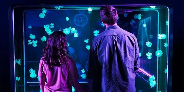SEA LIFE New Jersey: Student Tickets from $31